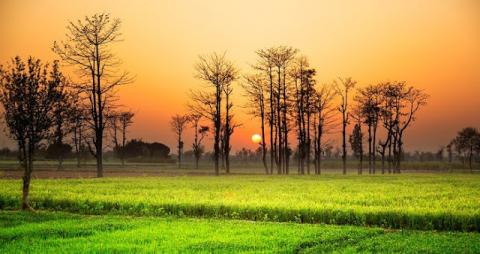 அதிசயமே