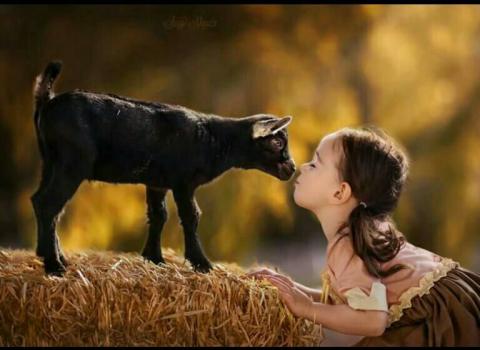 படம் உதவி பாவலர் புதுவைத் தமிழ்நெஞ்சன்    படத்திற்கு ஹைக்கூ  கவிஞர் இரா இரவி  படம் உதவி பாவலர் புதுவைத் தமிழ்நெஞ்சன்    படத்திற்கு ஹைக்கூ  கவிஞர் இரா இரவி