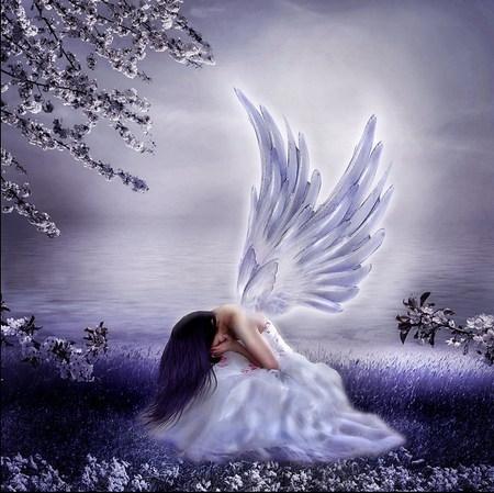 துளிப்பாக்கள்