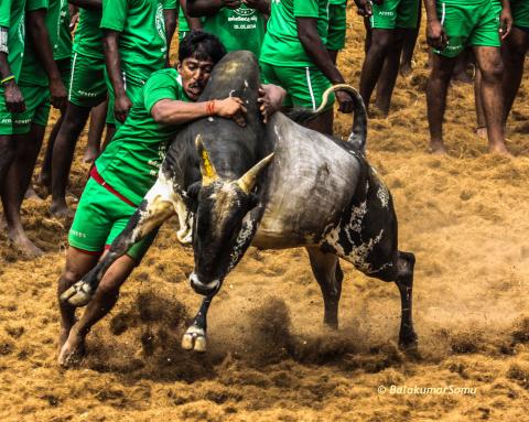 மெரினா புரட்சி