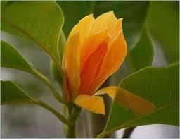 ஒவ்வொரு தித்திப்பிற்கும்