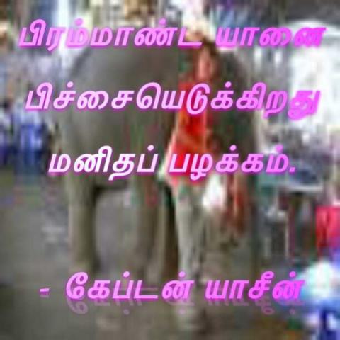மனிதம்