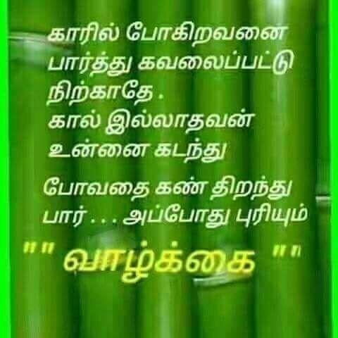 நிதர்சனம்