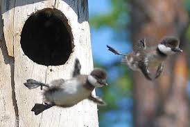 கவிதைகளும் தத்துவங்களும்    I