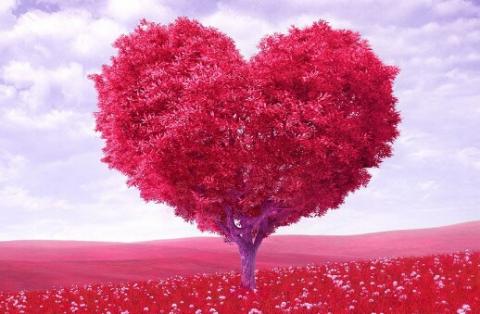 நிஜம் நிஜம்