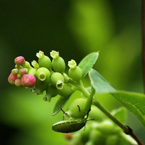 மனிதம் இருந்திருந்தால்