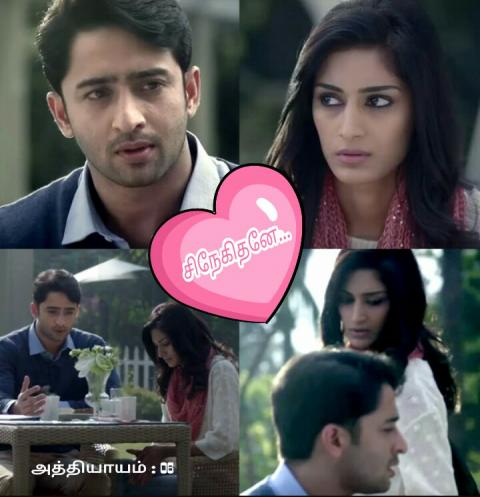 சிநேகிதனே -அத்தியாயம் - 06