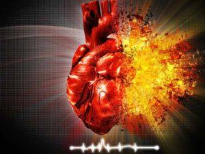 அரளி விதையில் காதல் செடி