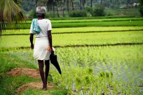 வாடிய முகங்களின் வாழ்க்கை பாதை
