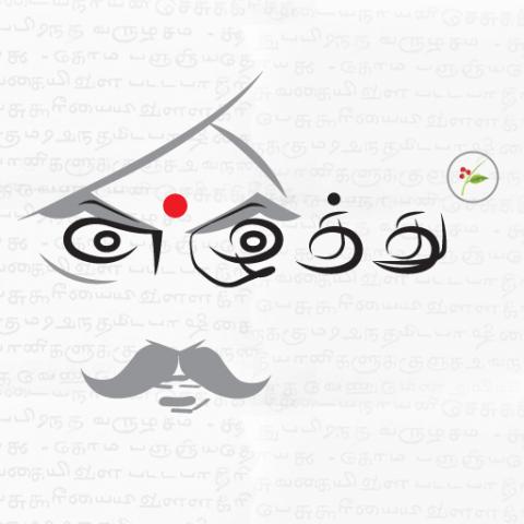 இது பைத்தியங்களின் தளமா