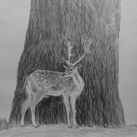 நட்பு  எ காதல்  