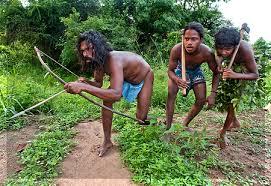 நீரிழிவை நீக்கும் ஆராய்ச்சி