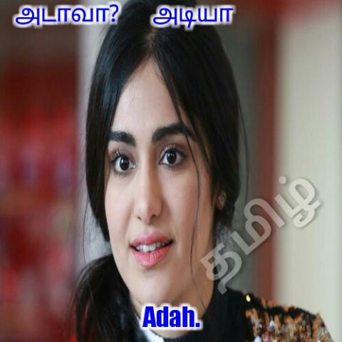 அடா இங்க வாடி