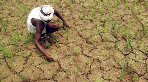 மரணிக்கும் முன் உதிரும் வார்த்தைகள்