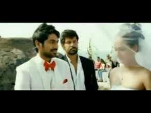 விரும்பியது வீணா