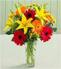 பூபோல் வாழ்வாய்