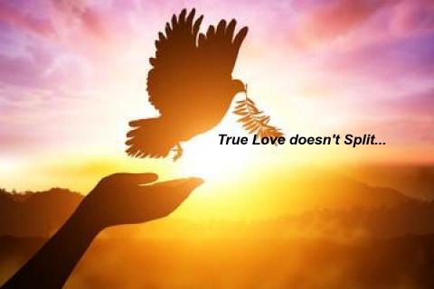 உண்மையான காதல் பிரிவதில்லை - தொடர்ச்சி4