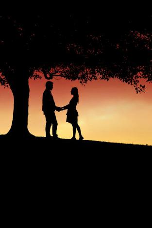 சொல்வாயா உன் காதலை