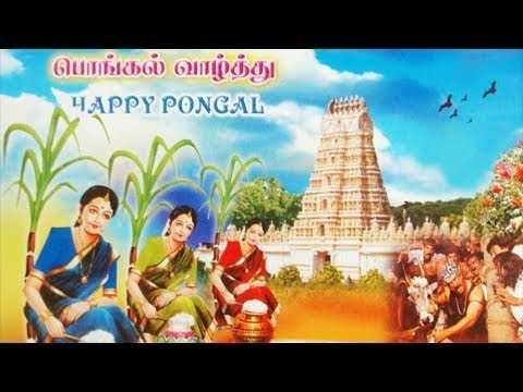 ••••••••••பொங்கல் வாழ்த்துமடல்•••••••••••