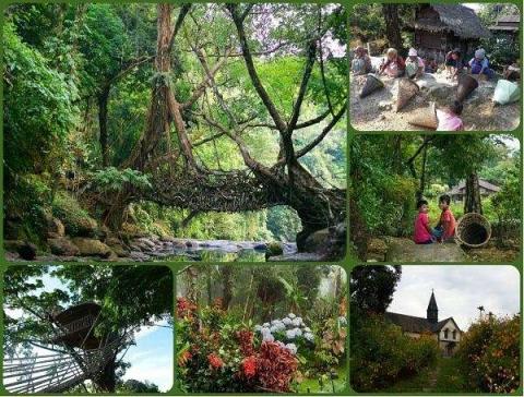 கிராமம்