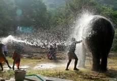 பழமொன்றியு  கவிஞர் இரா இரவி 