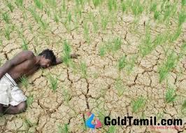 விதைத்தவனின் விசும்பல்