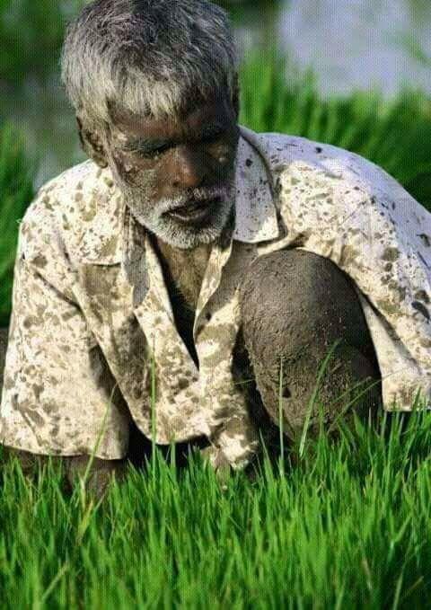 விவசாய மே --- முஹம்மத் ஸர்பான்