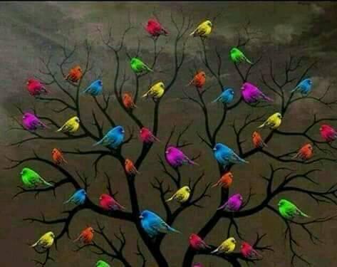 மரமும் மனித வாழ்வும்