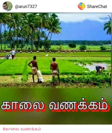 இயற்கை உணவு உண்போம்