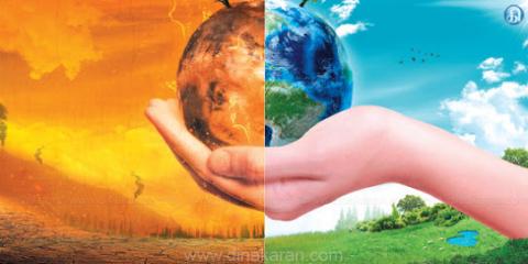 கோடையின் கொடையா தென்றலின் நடையா மரம்