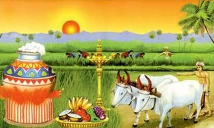 தைப் பொங்கல்