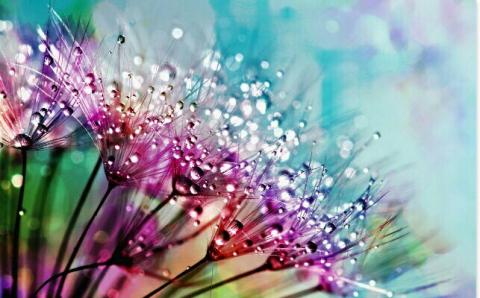 கண்ணீர் தூது