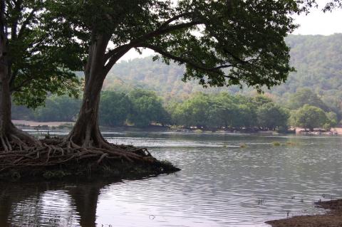 அமைதியைத் தேடி