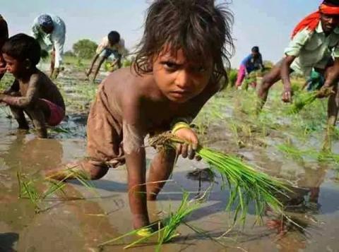 சிறுவர் தின சிறப்பு