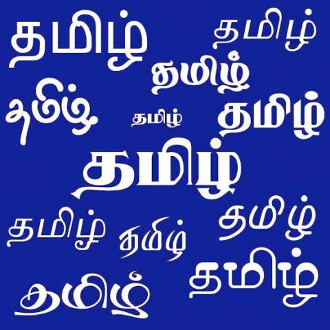 காதல், தமிழ், அவள் அழகு