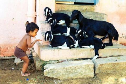 தனிமை தடங்கள்