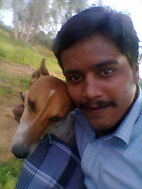 நாய் வளர்ப்பது குற்றமா