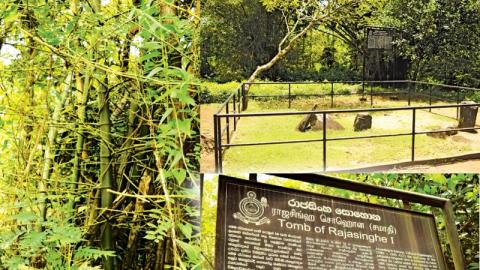 யடியன்தொட்ட Yatiyantota  பைரவர் பரண்டி கோவில்