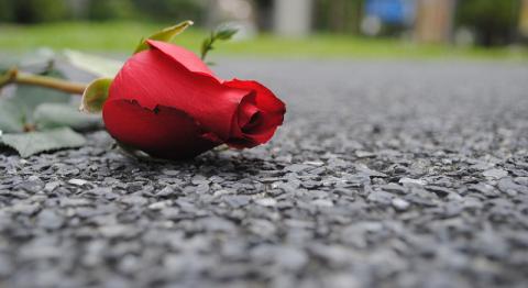 தூக்கி எறியப்பட்ட ஒரு அழகிய காதல் 555