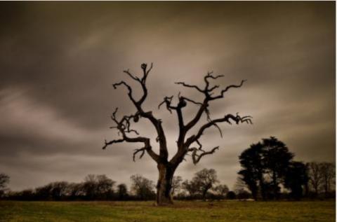 ஹைக்கூ இலையுதிர்காலம்