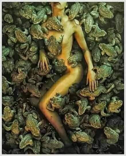 வறட்டுத் தவளை