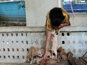 பராமரிப்பு