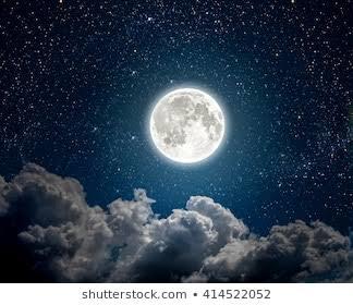 நானும் உன் ரசிகனே