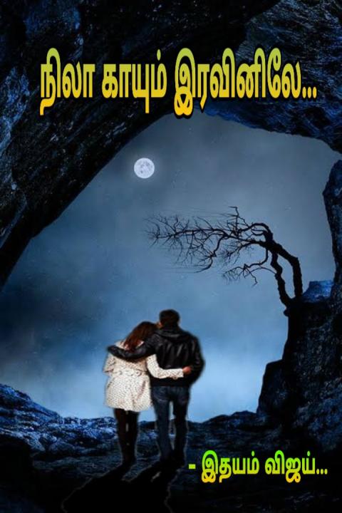 நிலா காயும் இரவினிலே - 8