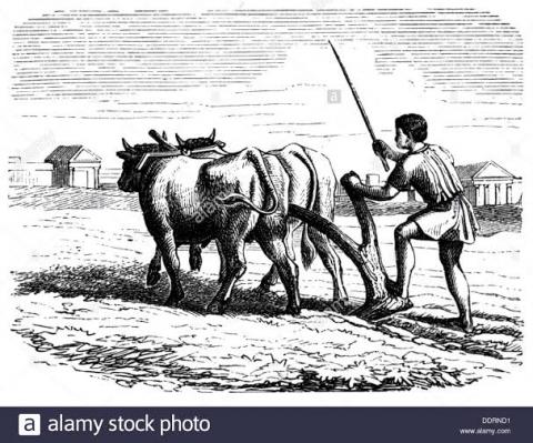 தறிகெட்டு ஓடிவிடும்