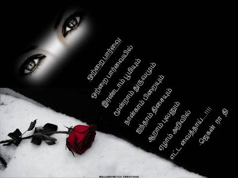 ஒற்றை பார்வை