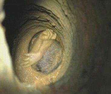 தமிழகம் தமிழகம்