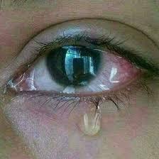 நான் வாழ்வதற்கு  நீ வேண்டும் 555