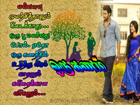 கவிதையும் காதலும்