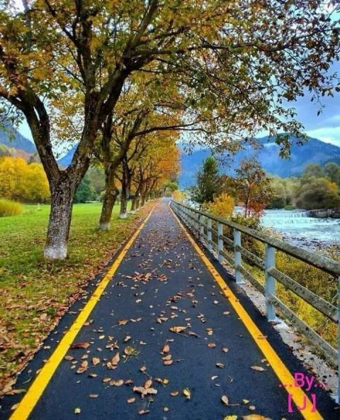 வாழ்ந்திட வழிகாட்டுது